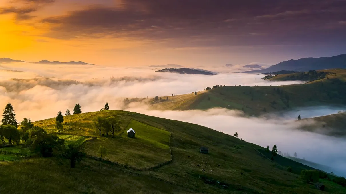 Despre Bucovina